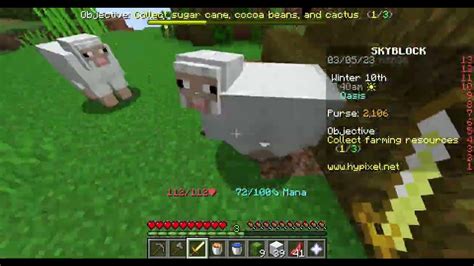 Hypixel skyblock quest guide EP 5 Give wool to the Carpenter - YouTube