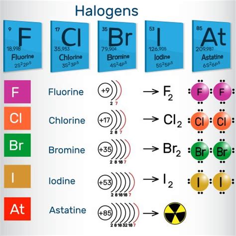 Inorganic Chemistry - Group 7(17), The Halogens