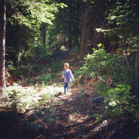 Camping With Kids: Outdoor Adventures for the Whole Family