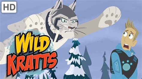 Wild Kratts 🐈🐇 The Lynx and the Hare Happy Holidays! Kids Videos - YouTube