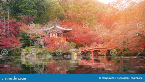 Young Women Wearing Kimono at Daigo-ji Temple with Colorful Maple Trees ...