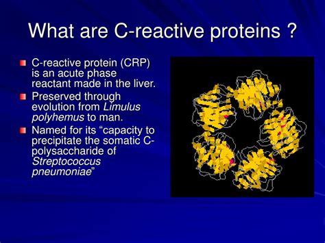 PPT - C-Reactive Proteins PowerPoint Presentation, free download - ID ...