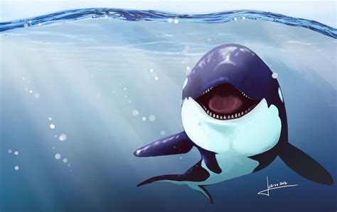 Orca. by leKikwi on DeviantArt