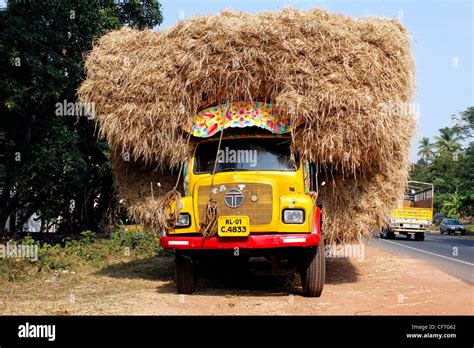 Overloaded truck carrying hay, Kerala , India Stock Photo - Alamy