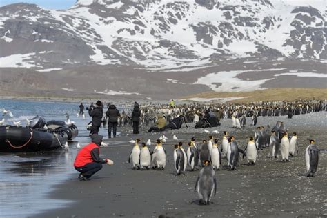 Premium Photo | Tourists in antarctica