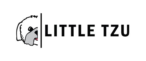 Insider Design and Marketing Insights by Little Tzu Studio