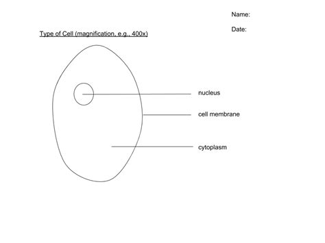 Looking Good Tips About How To Draw Biological Drawings - Bridgeeast