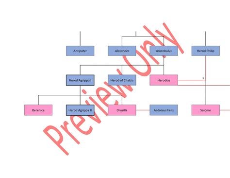 Herodian Family Tree - Etsy