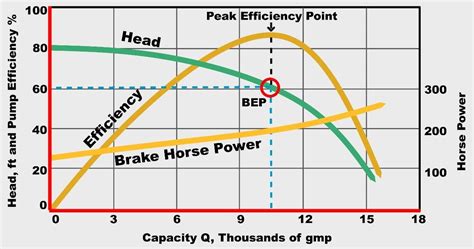 Pump Performance Curve - Chemical Engineering World