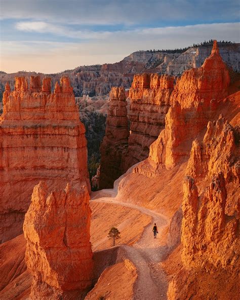 Ultimate Utah National Parks Road Trip: Explore Utah’s Mighty 5