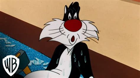 すごい Looney Tunes Sylvester The Cat Quotes - らさhぽどりぶて