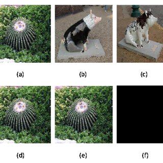 Two examples of steganography. (a) is the cover image. (b), (c) are... | Download Scientific Diagram