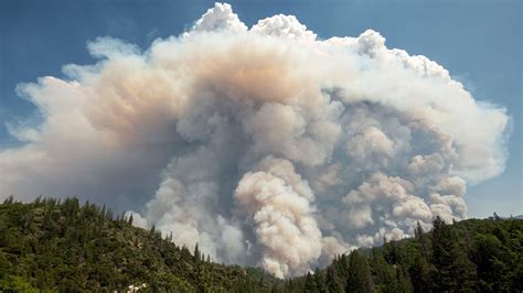 What are the top causes of wildfires? | kvue.com