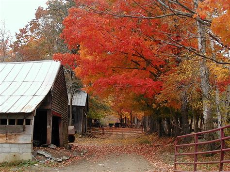 Autumn in Vermont