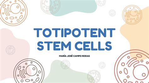 Totipotent Stem Cells | María José Campo | uDocz