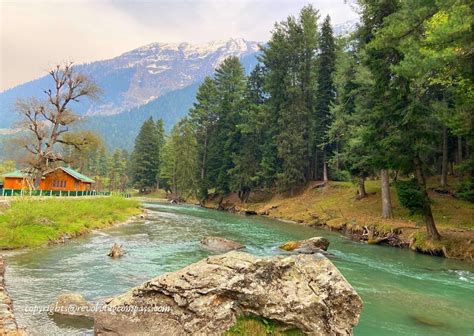 4 Surreal must see valleys of Pahalgam Kashmir - The Revolving Compass