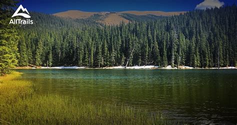 Best Trails in Wheeler Peak Wilderness - New Mexico | AllTrails