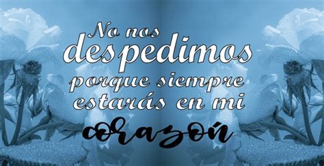 No nos despedimos porque siempre estarás en mi corazón