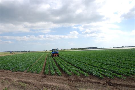 Intensive arable farming nr Howden | Intensive arable farmin… | Flickr