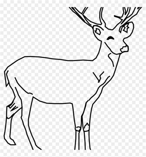 White Tailed Deer Clip Art Whitetail Deer Clip Art - Deer Drawing Black And White - Free ...