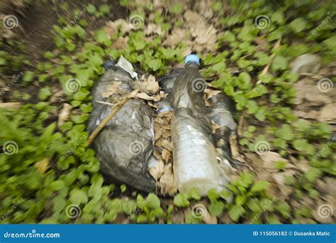 Ecological damage stock photo. Image of grass, protection - 115056182