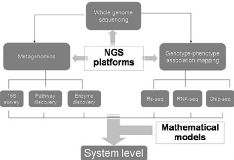 Main applications of “ next generation sequencing ” (NGS) to address ...