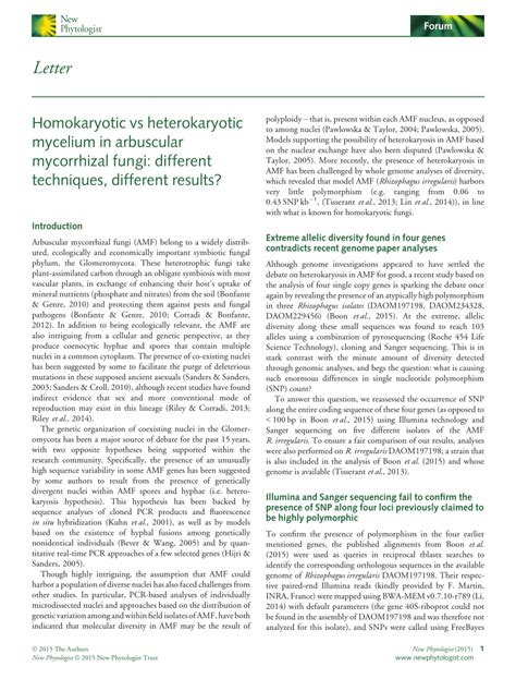 (PDF) Homokaryotic vs heterokaryotic mycelium in arbuscular mycorrhizal ...