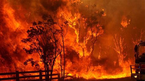 Your Summer Guide to Australian Bushfire Arson - VICE
