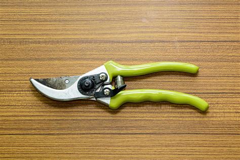 Gardening Scissors Stock Photos, Images and Backgrounds for Free Download