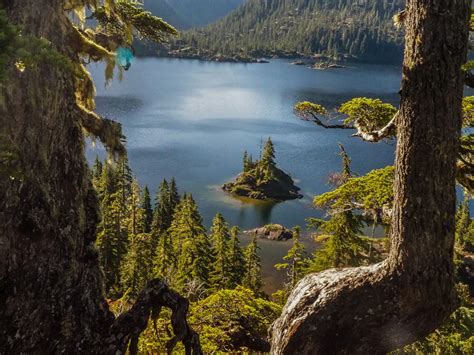 10 Best Hikes in Strathcona Provincial Park - Breakaway Vacations