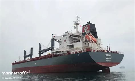 RUBINA, Bulk carrier, IMO 9725512 | Vessel details | BalticShipping.com