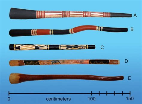 Guide to the Didgeridoo | Sound Genetics