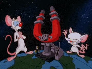 Animaniacs Animated GIF