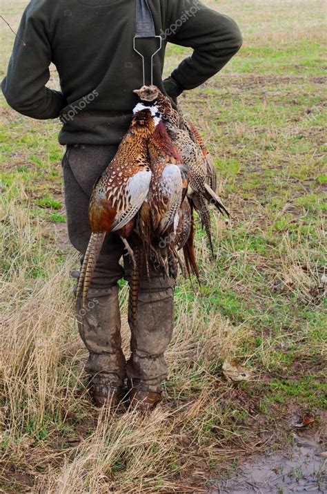 Gamekeeper at work — Stock Photo © dambuster #16217115