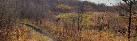 Dead Horse Creek Trail: 20 Reviews, Map - Manitoba, Canada | AllTrails