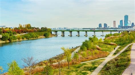 5 Han River & Hangang Park Activities That You Should Try