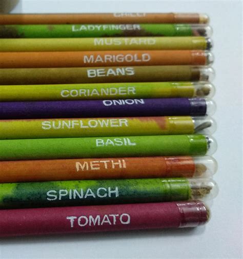 Eco-friendly Seed Pencils (Box of 12 HB pencils) – Stationery For Kids ...