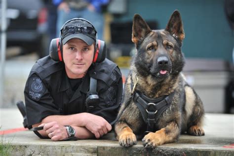 20 Things You Didn't Know About Police Dogs