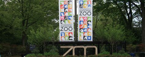 Guide to Visiting Smithsonian's National Zoo in DC | Washington DC