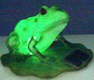 Solar-powered Frog Light - Ecofriend