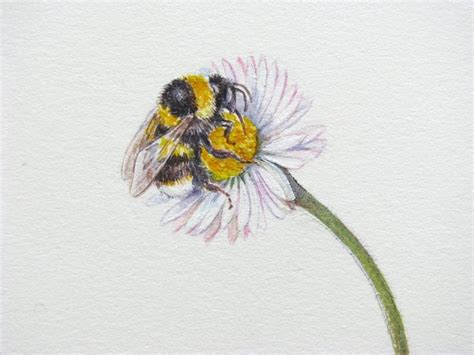 Botanical Sketches and Other Stories: In praise of the Daisy | Bee and flower tattoo, Bee ...