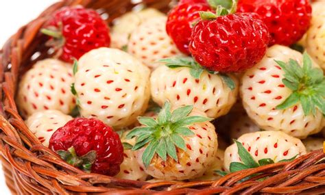 Carolina Pineberry Plants (10pk) | Groupon Goods