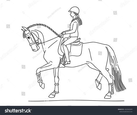 Horse Rider Sketch Photos and Images | Shutterstock