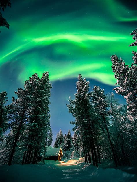 Northern lights, aurora, forest, snow, night, winter, HD phone ...