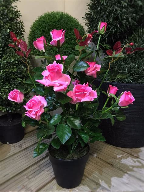 Best Artificial 2ft 65cm Rose Plant Garden Office Conservatory Tropical Indoor | eBay