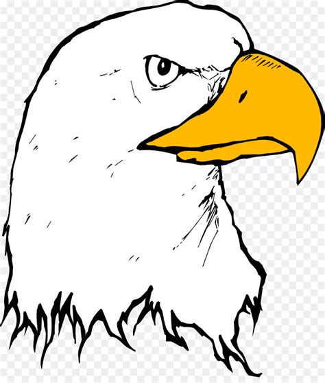 American Eagle Clipart at GetDrawings | Free download