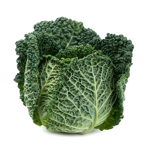 Savoy Cabbage x12 - M Hughes Wholesaler