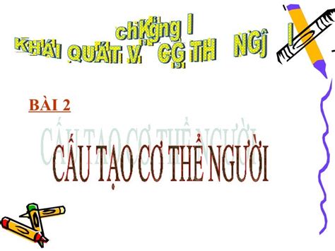 Bai 2 cau tao co the nguoi