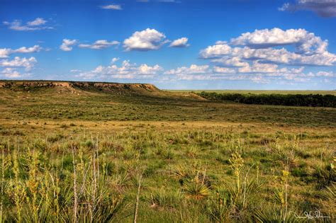 Cimarron National Grassland | I have had these photos settin… | Flickr