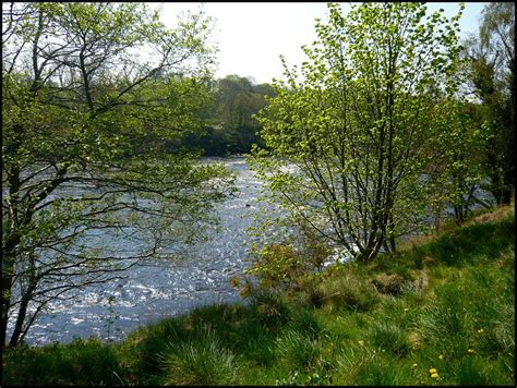 Tyne Riverside Country Park at Newburn | jacqui 006 (catching up) | Flickr